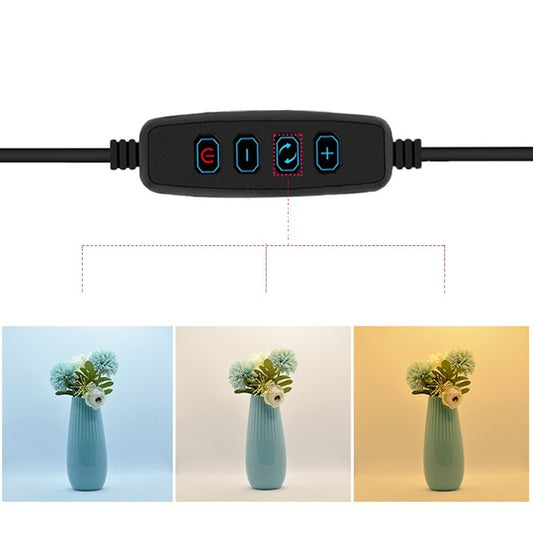 Folding Studio Adjustable Still Life Fill Light Shooting Soft Light Box with Six Color Back Cloth