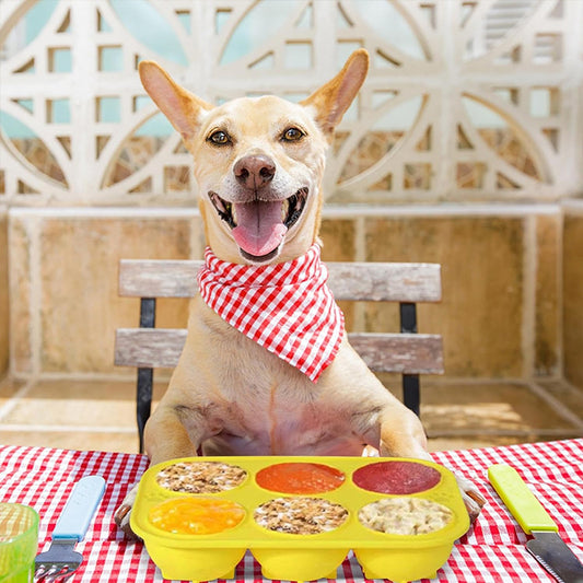 6 - cavity dog treat molds , compatible with Woof & Power Chewer Pupsicle, silicone for frozen treats, reusable for Pupsicle toy