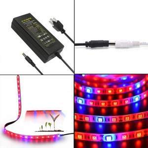 Plant Light Strip 5M 5050 Waterproof Full-spectrum Hydroponic Plants And Flowers