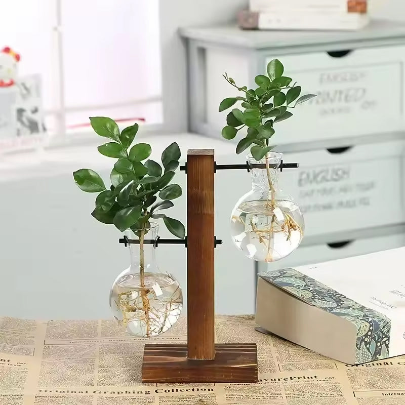 Transparent Bulb Vase with Wood Stand. For hydroponics. Great for coffee shops & room decor.