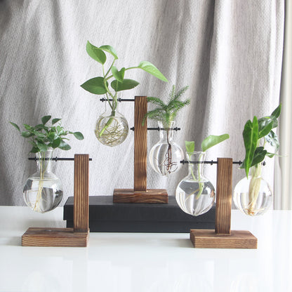 Transparent Bulb Vase with Wood Stand. For hydroponics. Great for coffee shops & room decor.