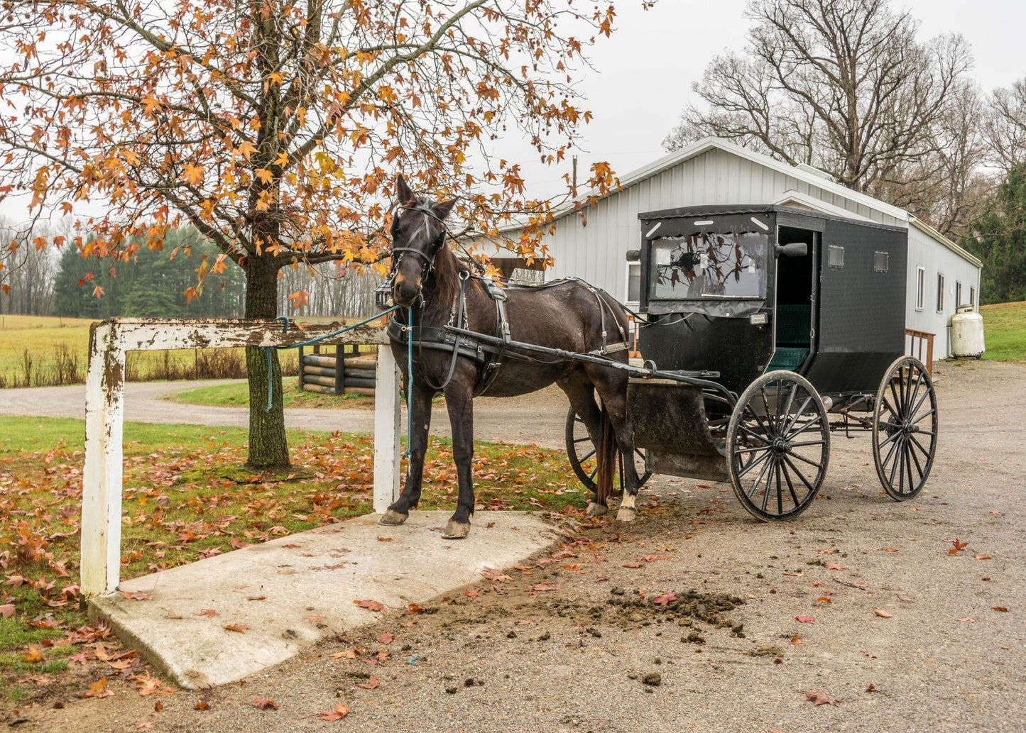 Educational Toys Cartoon Children's Paper Adult Pressure Relief Puzzle