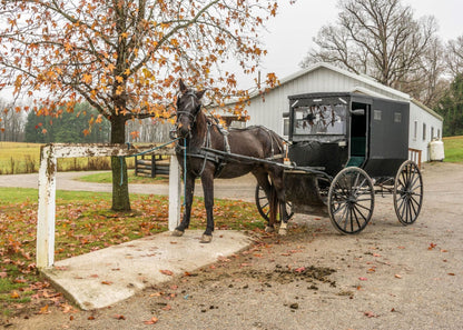 Educational Toys Cartoon Children's Paper Adult Pressure Relief Puzzle