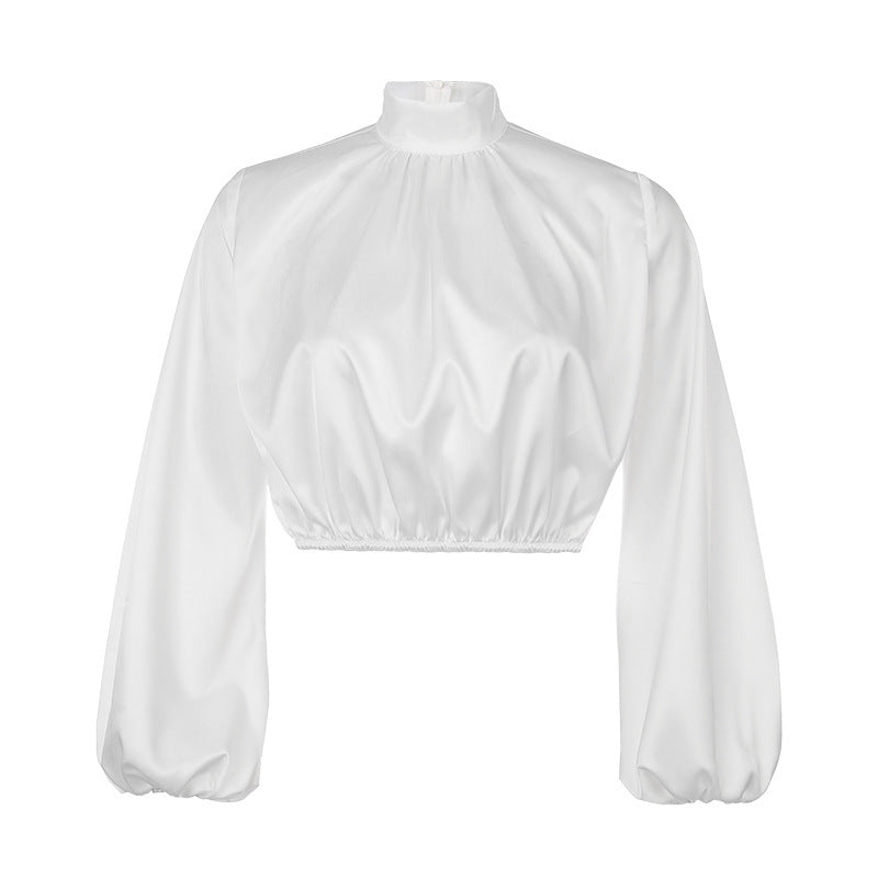 Loose Lantern Sleeve Turtleneck Top