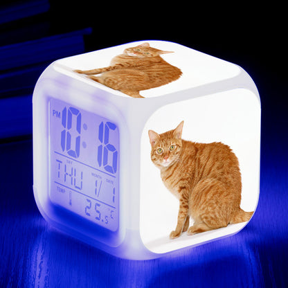 Cat narrow colorful square alarm clock