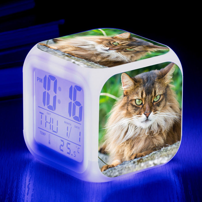 Cat narrow colorful square alarm clock