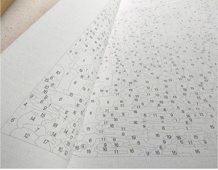 Paint By Numbers For Adults squirrel