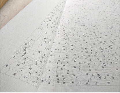 Paint By Numbers For Adults squirrel