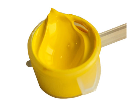 Paint By Numbers For Adults squirrel