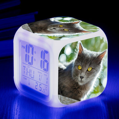 Cat narrow colorful square alarm clock