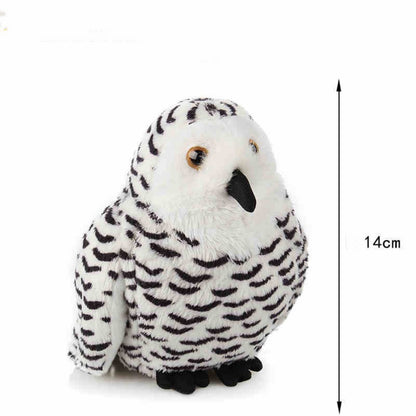 Plush Toys For Both Men And Women