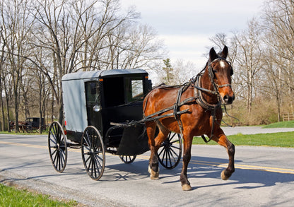 Educational Toys Cartoon Children's Paper Adult Pressure Relief Puzzle