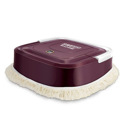 Fully automatic Mini sweeper for household use