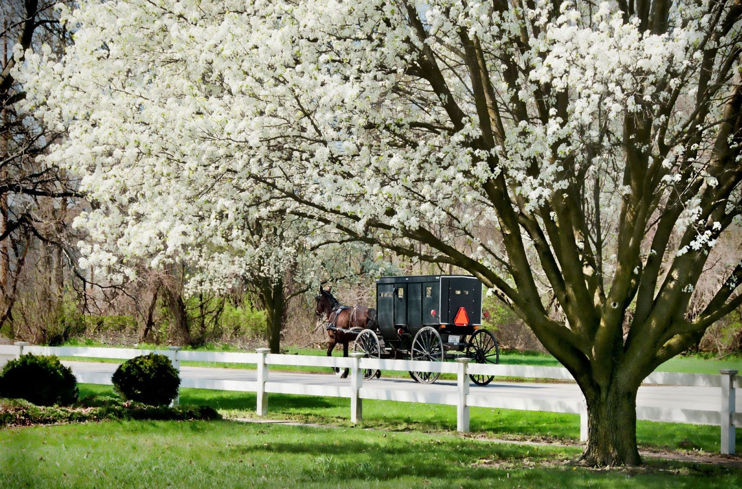 Educational Toys Cartoon Children's Paper Adult Pressure Relief Puzzle