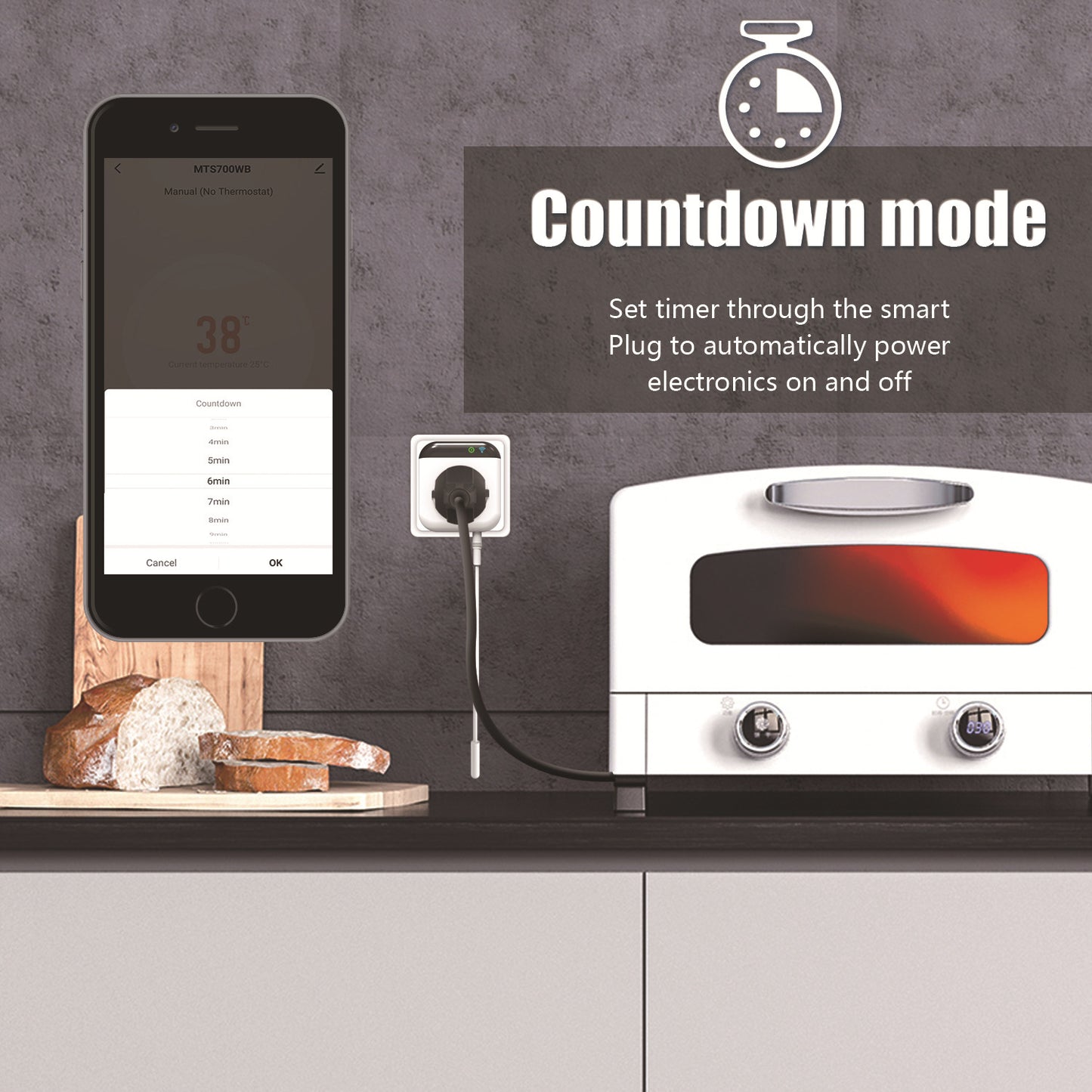 Tuya Temperature Control Switch Socket