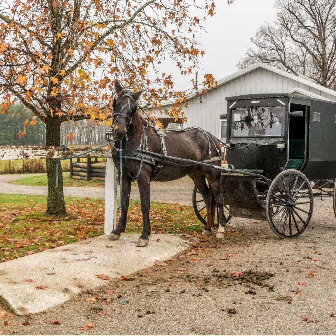 Educational Toys Cartoon Children's Paper Adult Pressure Relief Puzzle