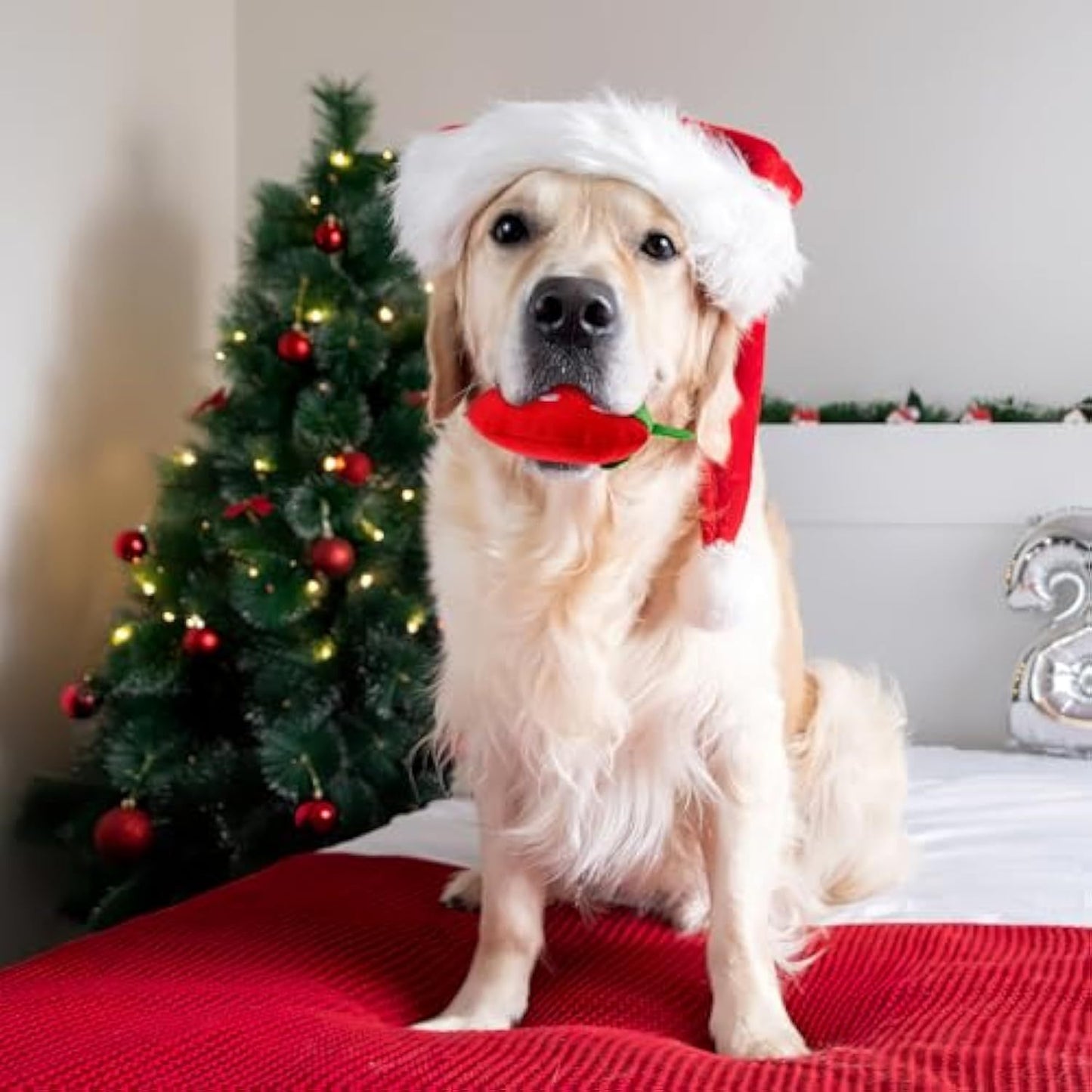 Dog Plush Squeaky Toys - Soft Strawberry Shape Interactive Puppy Chew Toy For Dogs Teething Playing  Chewing