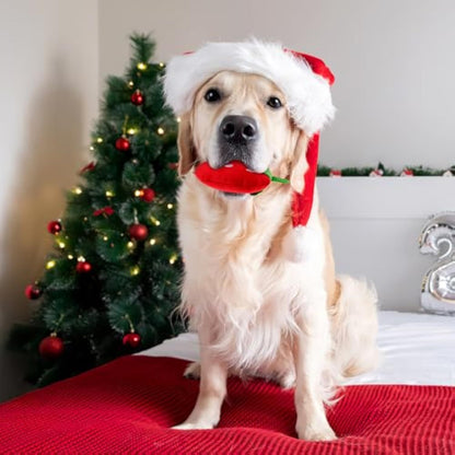 Dog Plush Squeaky Toys - Soft Strawberry Shape Interactive Puppy Chew Toy For Dogs Teething Playing  Chewing