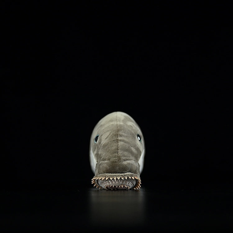 Plush Toys For Both Men And Women